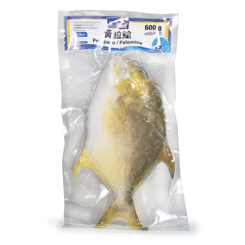 Pompano_Golden_WR_IQF_(IVP)